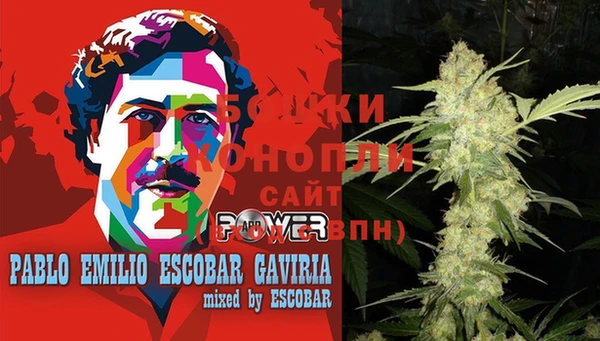 PSILOCYBIN Надым