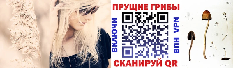 Галлюциногенные грибы GOLDEN TEACHER  Купить закладки  Можга 